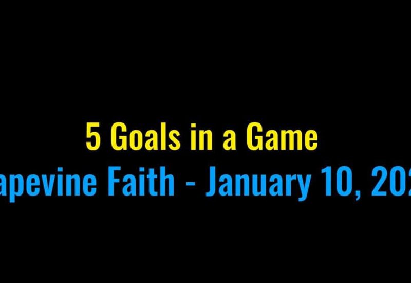 5 goals